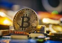 Майнинговая фирма украинского бизнесмена откроет деятельность в США