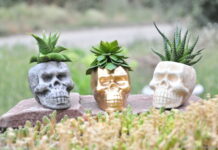 Как правильно выбрать горшок под растения и под интерьер